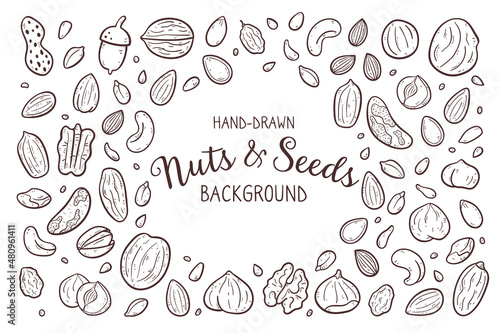 Hand-drawn nuts and seeds background. Food ingredients for cooking illustration. Isolated doodle icons on white background. Vector illustration.