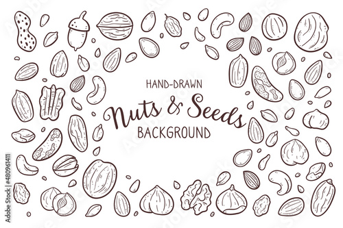 Hand-drawn nuts and seeds background. Food ingredients for cooking illustration. Isolated doodle icons on white background. Vector illustration.