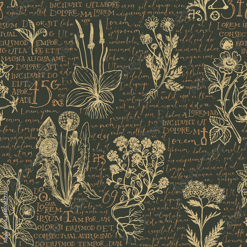 Seamless pattern with hand-drawn medicinal herbs and handwritten text Lorem Ipsum on a dark backdrop. Retro wallpaper, wrapping paper, fabric design. Vector background on the theme of herbal medicine