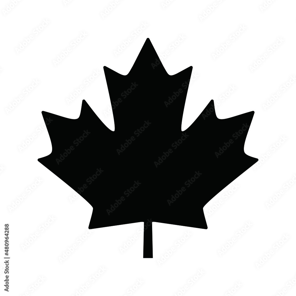 leaf silhouette leaf silhouette