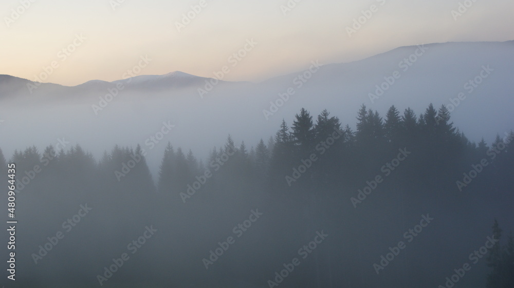 Fototapeta premium Fog