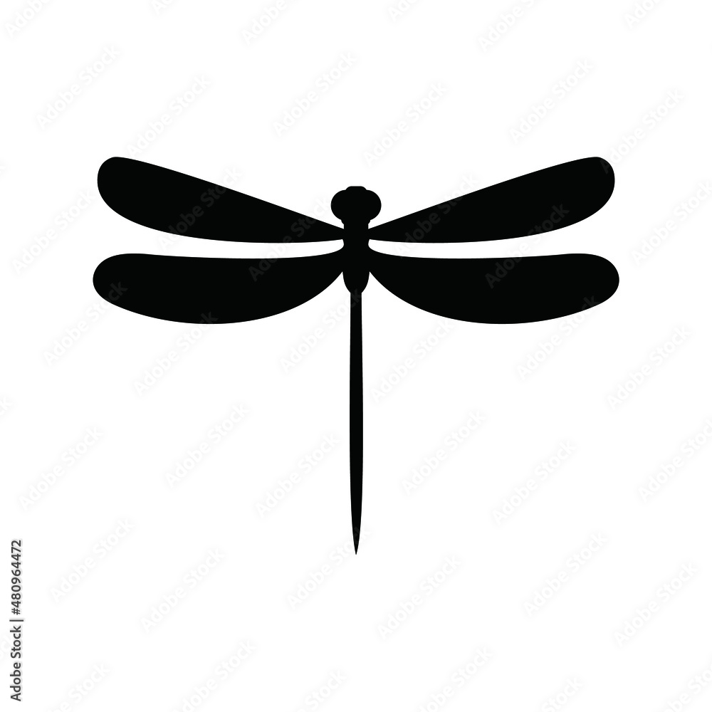 dragonfly illustration dragonfly illustration