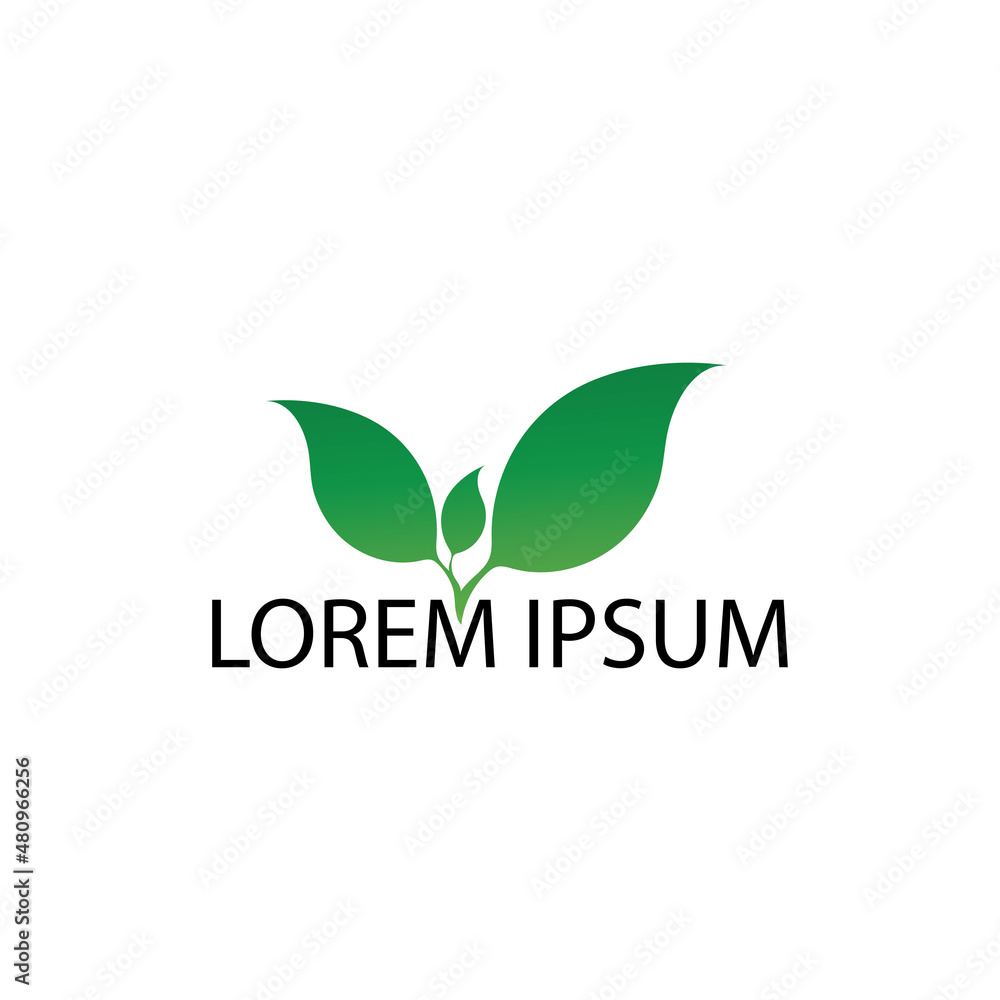 leaf logo icon vector design template leaf logo icon vector design template