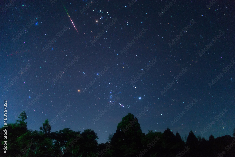 Fototapeta premium 夏、夜明け前にオリオン座に向かって飛ぶペルセウス座流星群