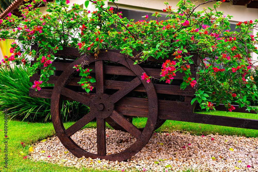 decorative wooden cart with flowers