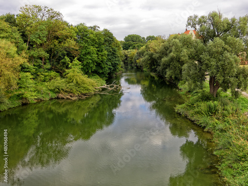 Verwilderter  mit B  umen bewachsener Nebenarm der Donau in Regensburg  Bayern  Deutschland  Europa