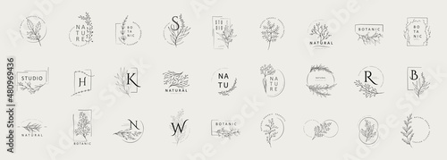 Minimal feminine floral monogram and logo. Hand drawn wedding herb, elegant leaves. Botanical rustic trendy greenery vector