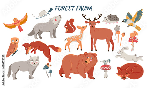 Vector set of cute woodland animals for baby shower and kids design. Collection of forest animals - bear  fox  wolf  rabbit and birds