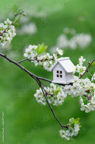 cherry flowers and toy house, green natural background. spring season. concept of mortgage, construction, rental, family and property