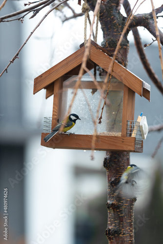 there are two titmouses in the photo. One sits in the feeder and looks at the second flying bird.