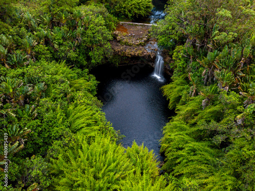 Aerial view of a waterfall hidden in a forest located in Mauritius