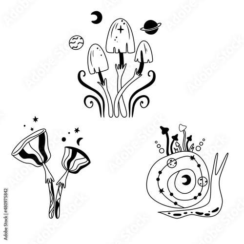 Mystical mushrooms set, magic line celestial mushroom, snail, moon, stars and planets, witchy esoteric objects, floral mystical. Black and white vector illustration