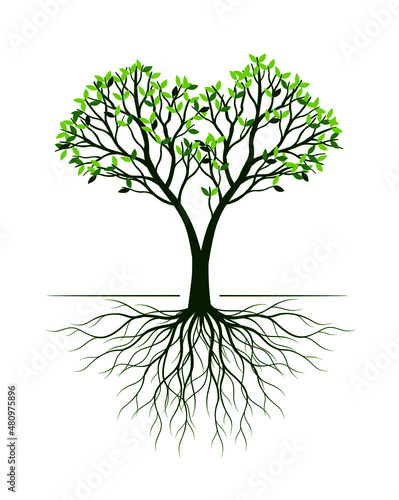 Green Tree. Vector outline Illustration. Plant with Roots in Garden.