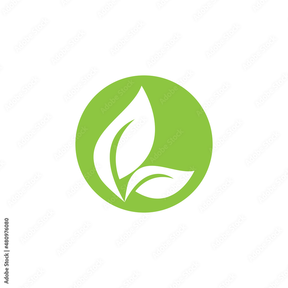 leaf logo icon vector design template leaf logo icon vector design template