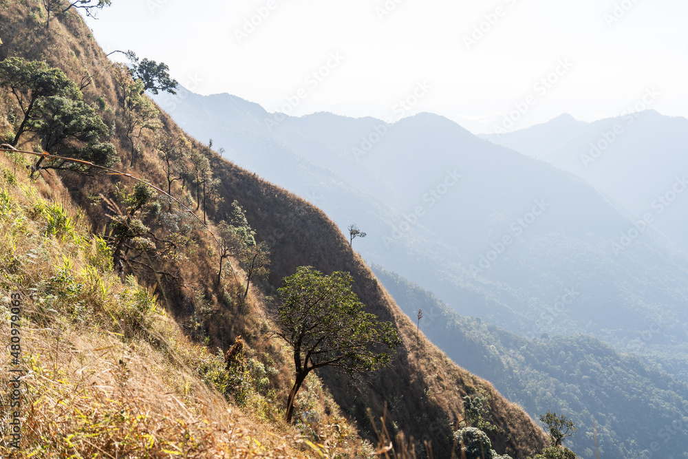 Fototapeta premium view from the top of mountain