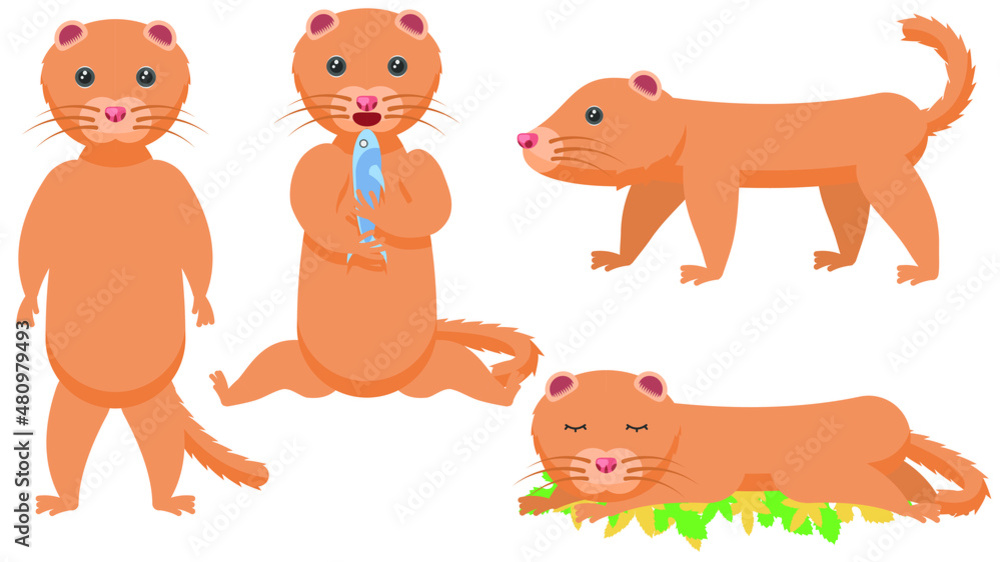 Naklejka premium Set Abstract Collection Flat Cartoon Different Animal Mink Stand, Sleeping, Eating A Fish, Vector Design Style Elements Fauna Wildlife