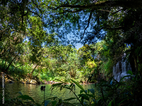 View of a waterfall hidden in a forest located in Mauritius	 photo