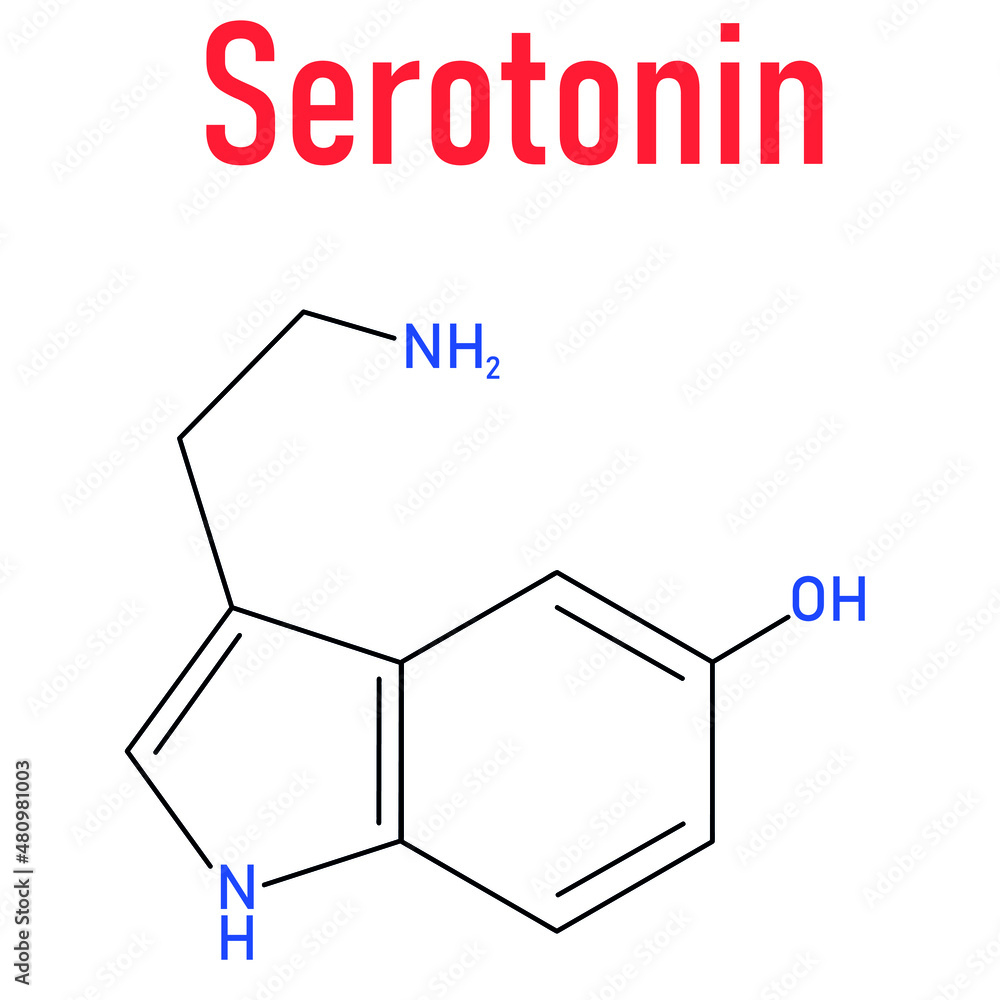Serotonin neurotransmitter molecule. Skeletal formula. Chemical structure Serotonin neurotransmitter molecule. Skeletal formula. Chemical structure