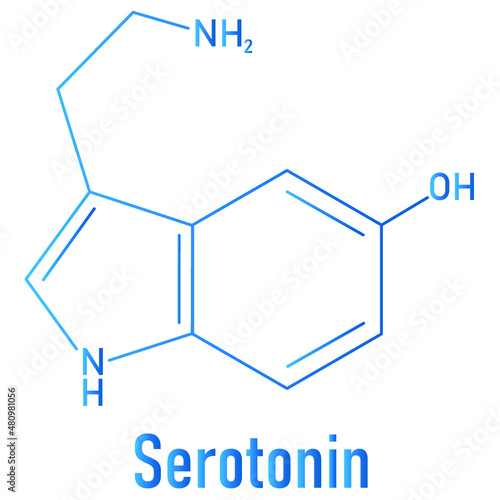 Serotonin neurotransmitter molecule. Skeletal formula. Chemical structure photo