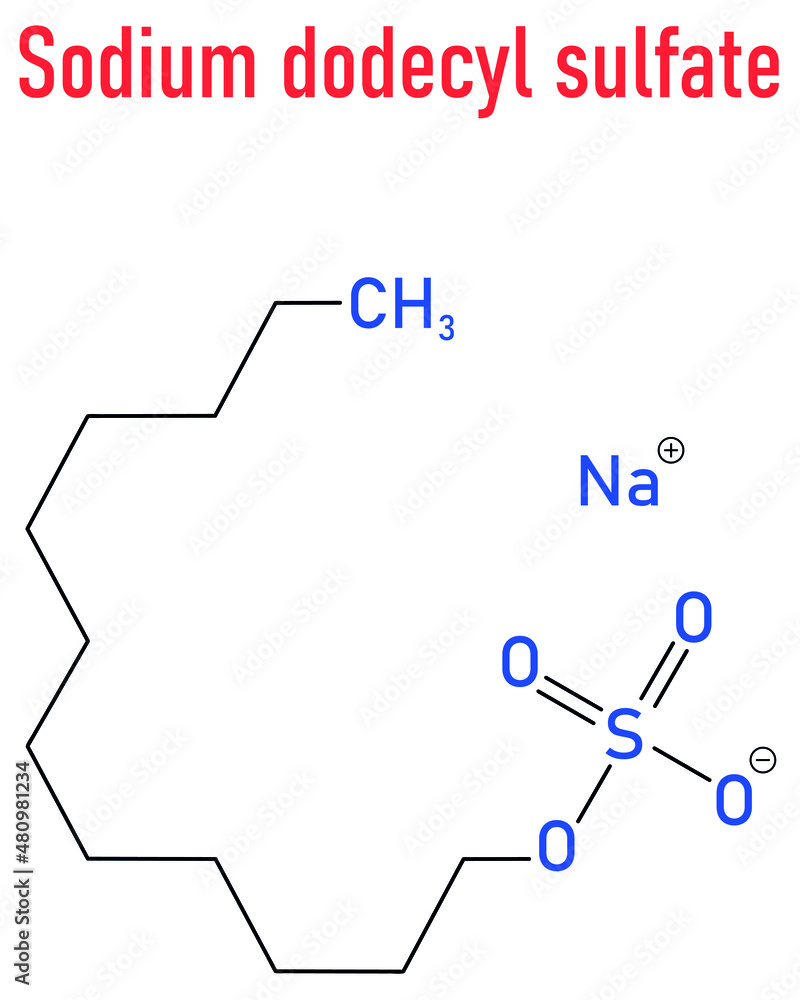 Sodium Dodecyl Sulfate Or SDS, Sodium Lauryl Sulfate, Surfactant ...