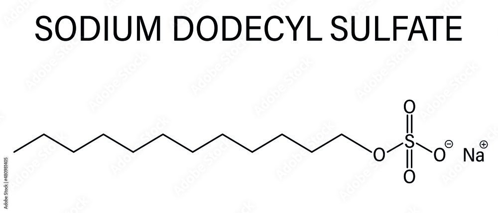 Sodium dodecyl sulfate or SDS, sodium lauryl sulfate, surfactant molecule. Commonly used in cleaning products. Skeletal formula.