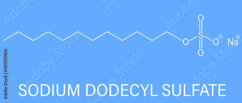 Sodium dodecyl sulfate or SDS, sodium lauryl sulfate, surfactant molecule. Commonly used in cleaning products. Skeletal formula. photo