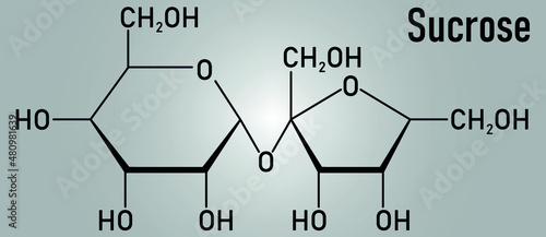 Sucrose sugar molecule. Also known as table sugar, cane sugar or beet sugar. Skeletal formula.