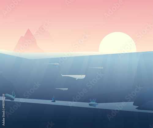 Underwater world of whales