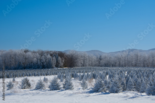 Wallpaper Mural A winter countryside landscape in the province of Quebec, Canada Torontodigital.ca