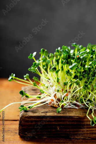 Sprouted radish microgreens on a wooden cutting board. Healthy salad greens, vertical photo