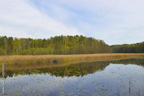 Fototapeta Naklejka Na Ścianę i Meble -  Drewniana ławka w stawie