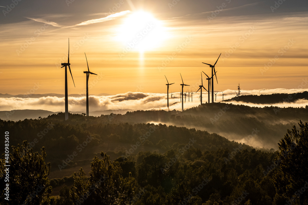 Obraz premium wind turbines in rural area in Spain