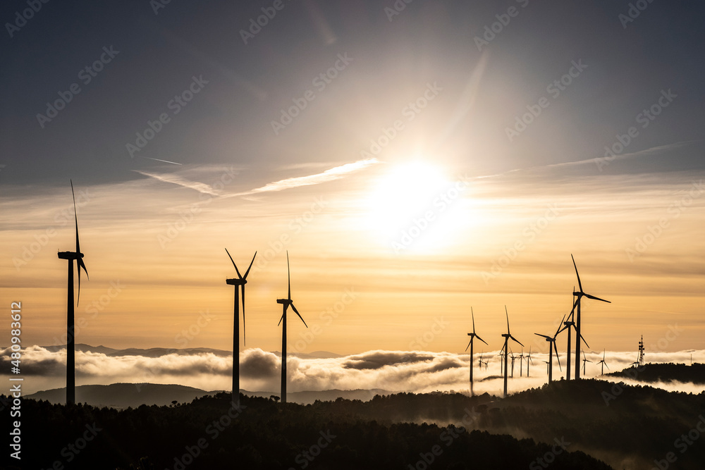 Obraz premium wind turbines in rural area in Spain