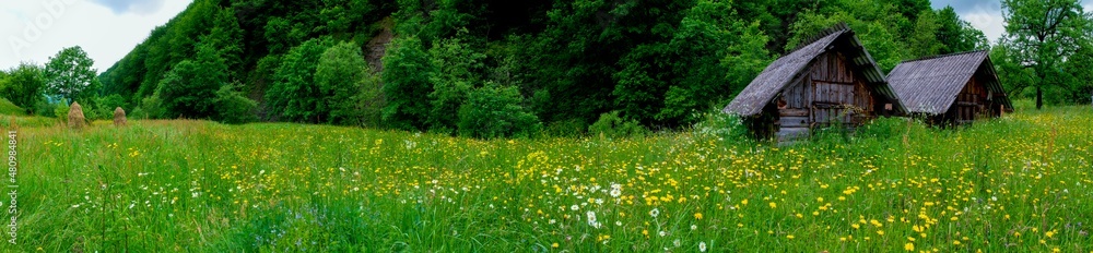 Panorama of a flower field in the mountains. Herbs, green trees. Panorama of a flower field in the mountains. Herbs, green trees.