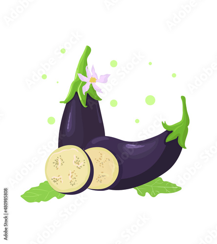 Eggplant, whole fruit and slices. Vector illustration cartoon flat icon isolated on white background. Fresh vegetables. 