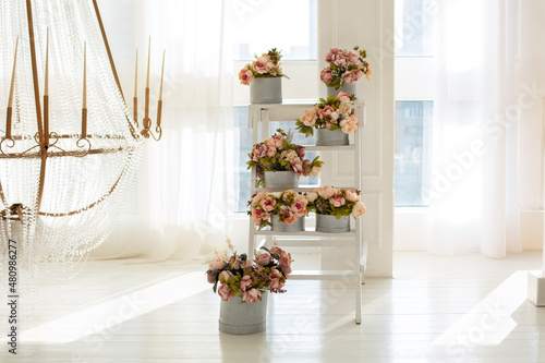 Fototapeta Naklejka Na Ścianę i Meble -  Interior with step ladder and peonies in boxes. Bouquets of delicate flowers in round boxes. Wooden ladder used as shelves for Different plants in home interior against window. Wedding ceremony decor.
