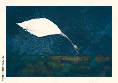 illustration of a landscape