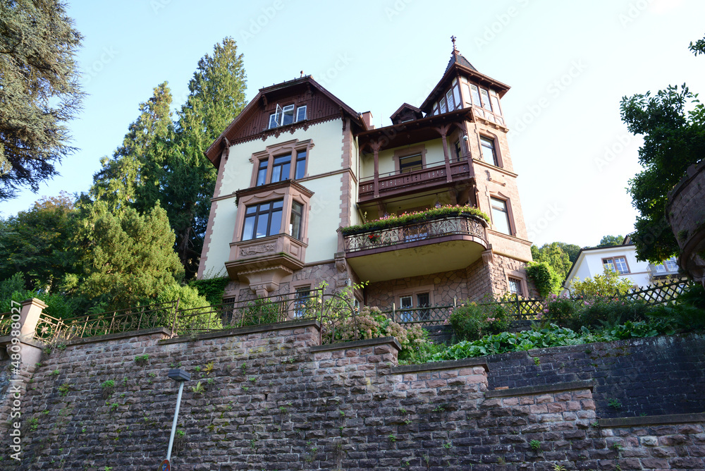 Ancient buildings of Heidelberg. Germany. Tourism, travel. Ancient buildings of Heidelberg. Germany. Tourism, travel.