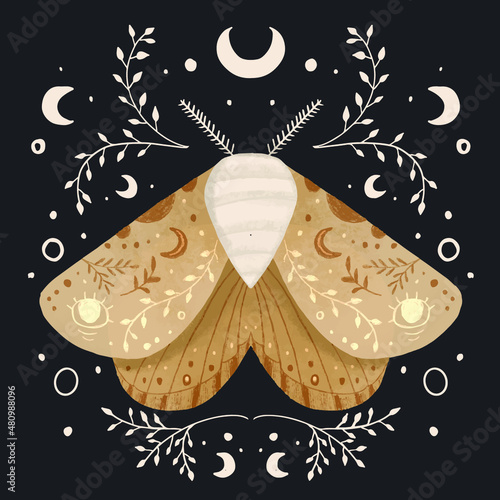 mystical moth illustration