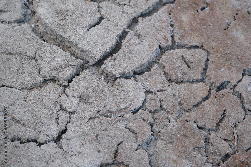 Fototapeta premium dry ground of a lake