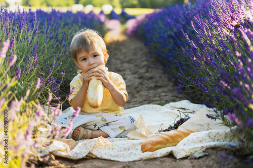 Cute hungry baby eating bread during picnic in a lavender field