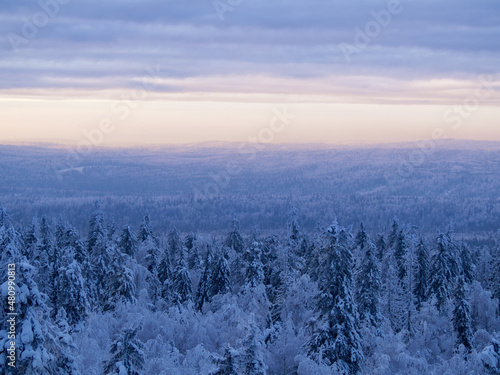 Snow-covered trees in winter at sunset in the foothills of the Ural mountains.