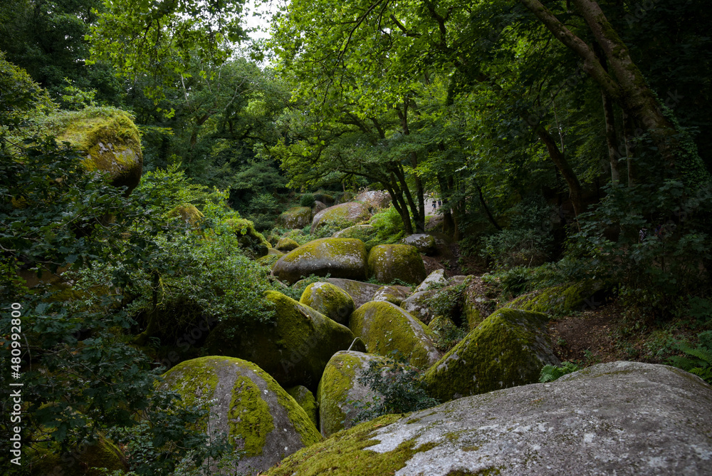 view on the forest of huelgoat in finistere in Brittany view on the forest of huelgoat in finistere in Brittany