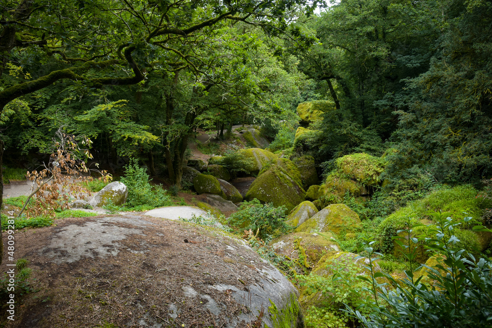 view on the forest of huelgoat in finistere in Brittany view on the forest of huelgoat in finistere in Brittany