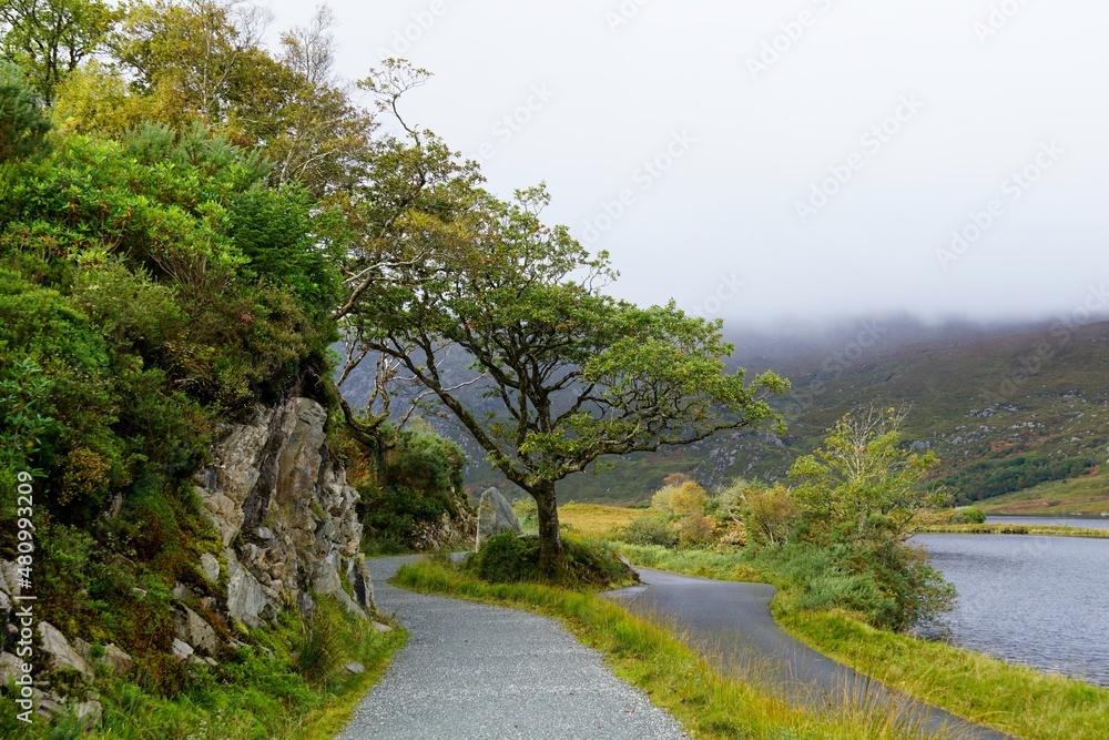 Glenveagh National Park, trail to Glenveagh Castle. County Donegal, Ireland