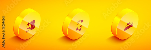 Set Isometric Sponge, and Brush for cleaning icon. Vector