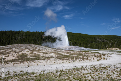 Old faithful geyser erupting in summer, Yellowstone National Park Wyoming hot springs.