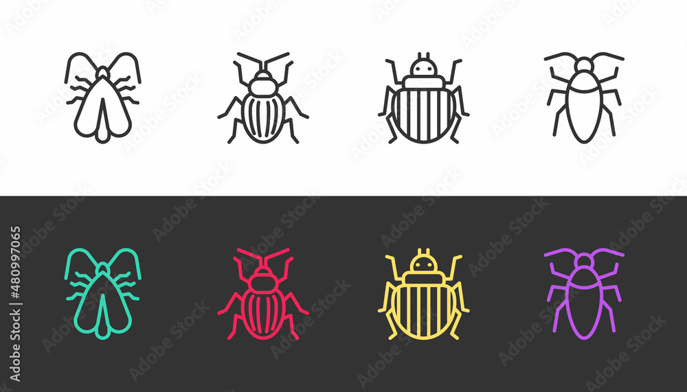 Set line Clothes moth, Chafer beetle, Colorado and Cockroach on black and white. Vector Set line Clothes moth, Chafer beetle, Colorado and Cockroach on black and white. Vector