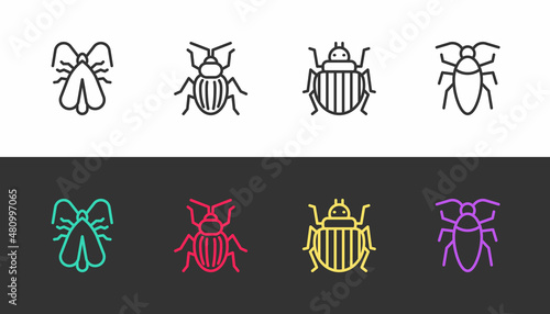 Set line Clothes moth, Chafer beetle, Colorado and Cockroach on black and white. Vector