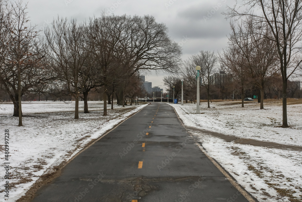Paved path cutting through snow covered park with barren trees Paved path cutting through snow covered park with barren trees
